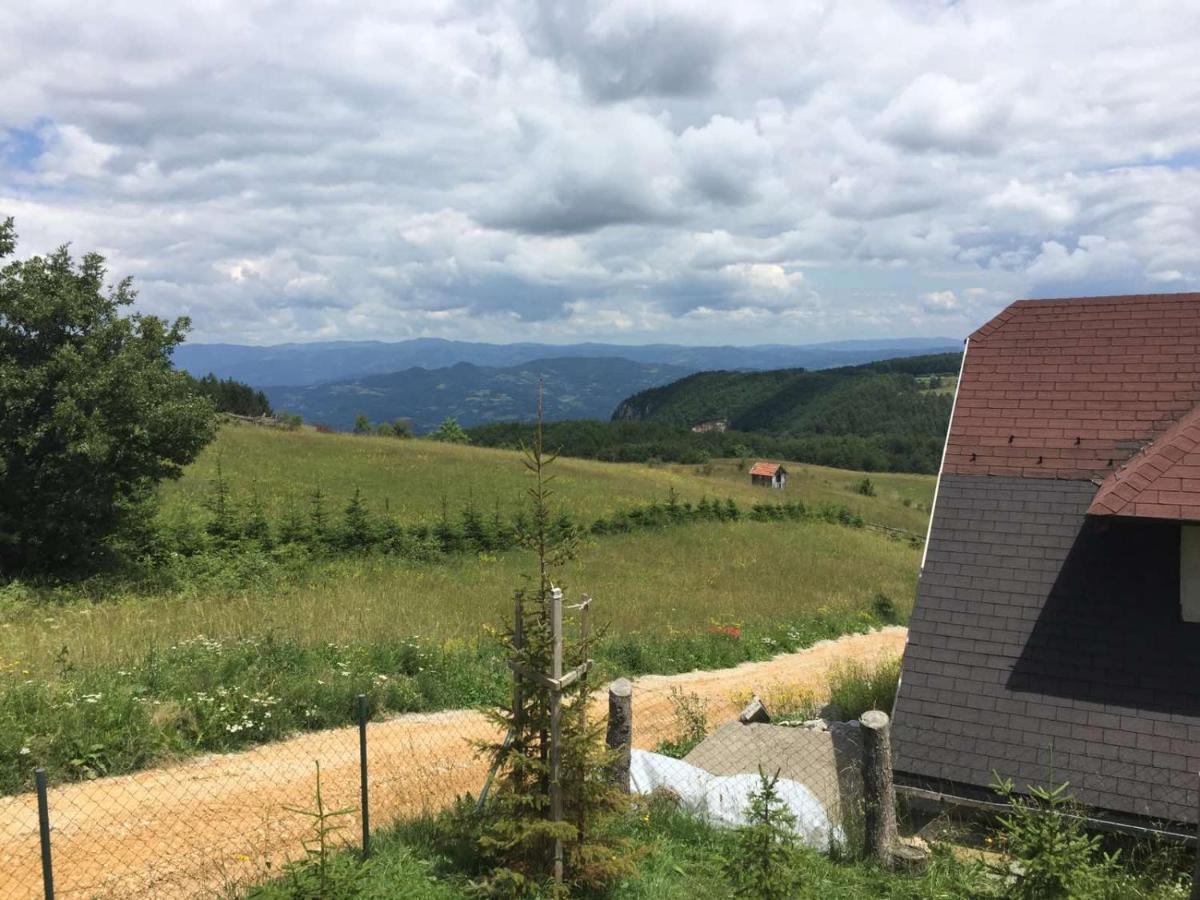 Vila Hajdi Planina Tara باغينا باستا المظهر الخارجي الصورة