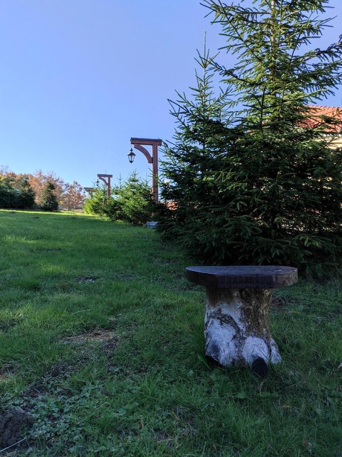 Vila Hajdi Planina Tara باغينا باستا المظهر الخارجي الصورة