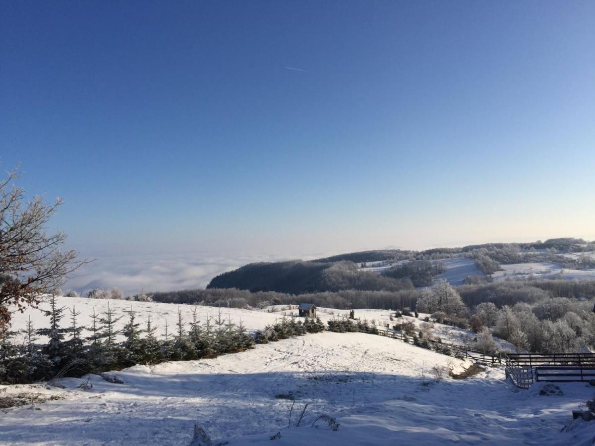 Vila Hajdi Planina Tara باغينا باستا المظهر الخارجي الصورة