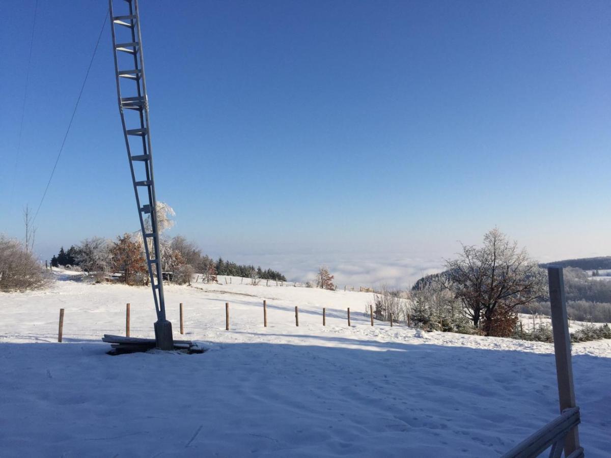Vila Hajdi Planina Tara باغينا باستا المظهر الخارجي الصورة